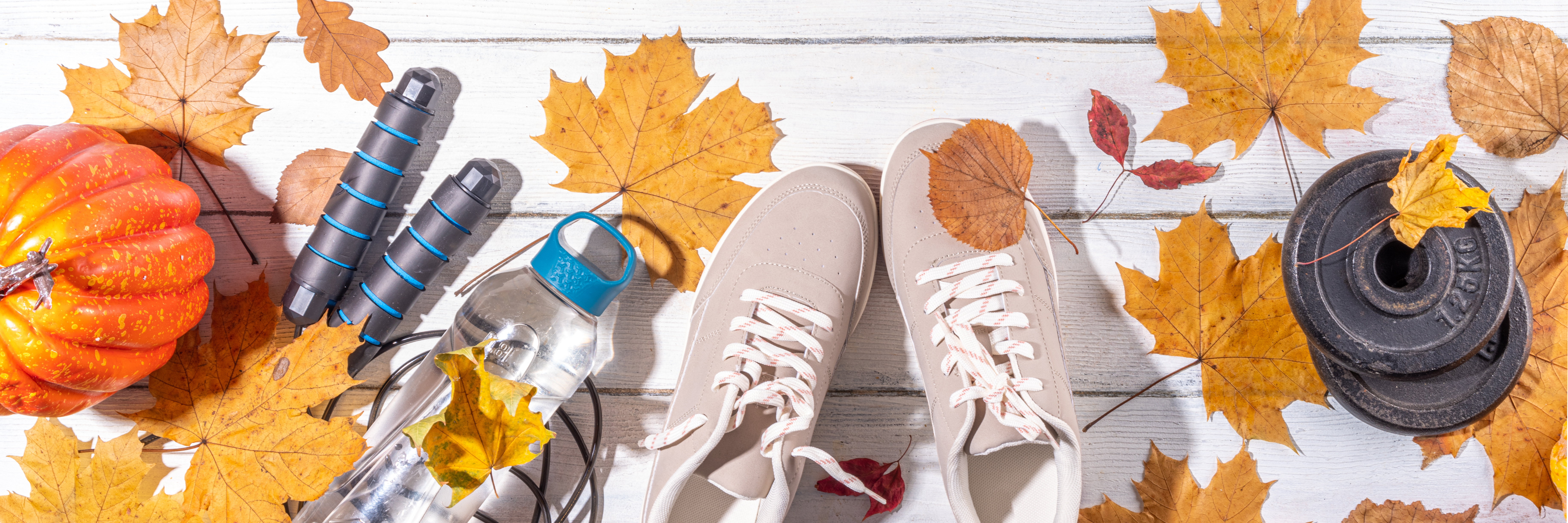 Fall Walking Program Display