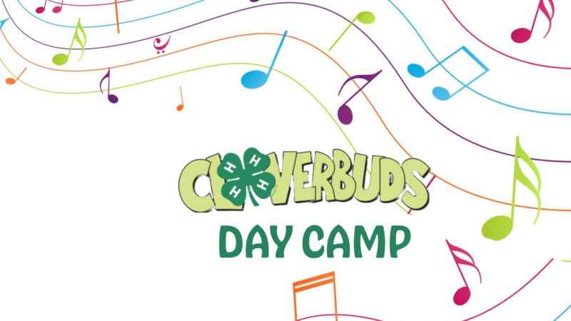Clovebuds Camp image